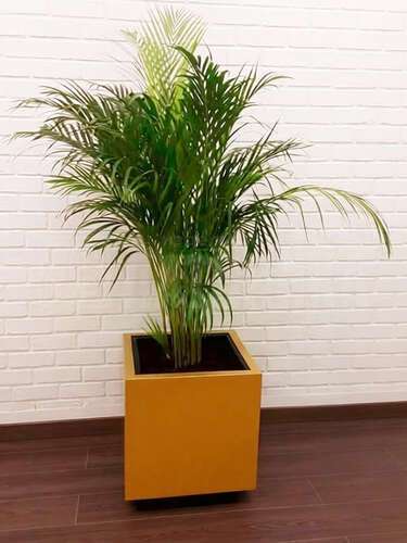 Кашпо для цветов