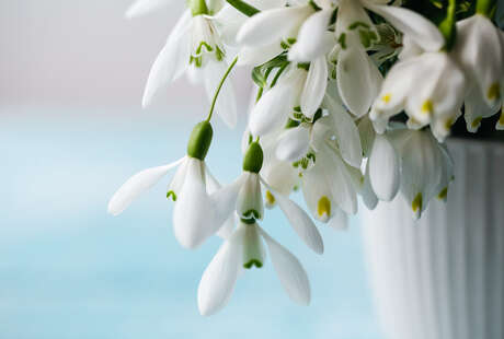 Превью новости Поздравление с Днём труда