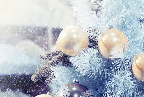 Превью новости С Новым 2023 годом