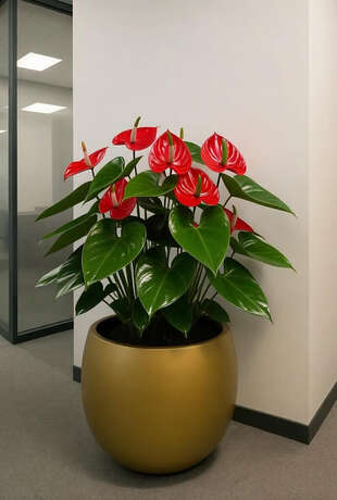 кашпо для цветов