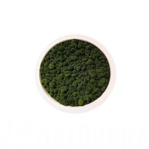 Арт-панель (основа для панно) «Орбита 300»