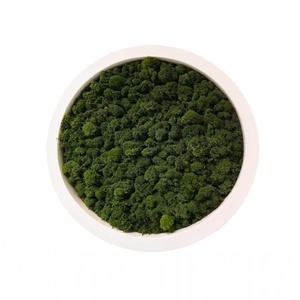 Арт-панель (основа для панно) «Орбита 500»