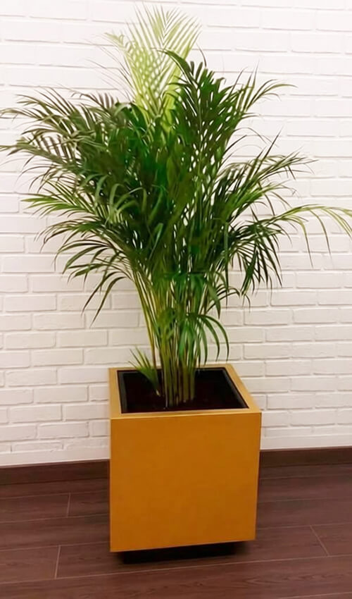 Кашпо для цветов «Куб»